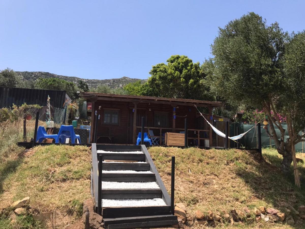 Rustic Cabin Tarifa 4 Guests 10 Minutes To Beach المظهر الخارجي الصورة