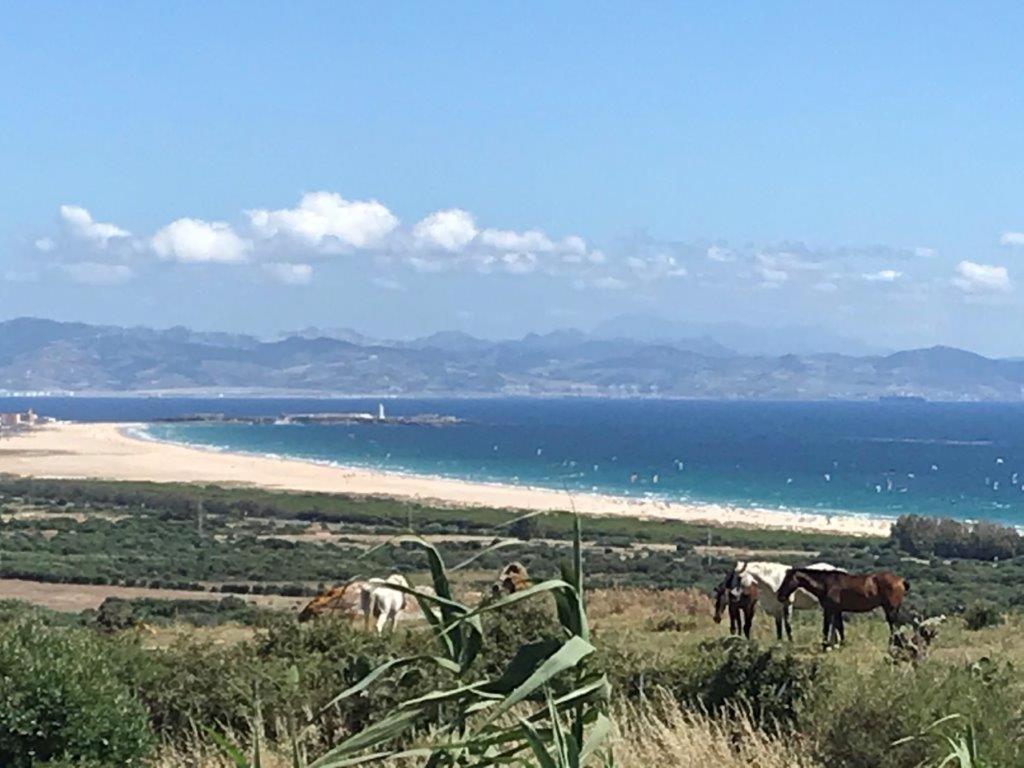 Rustic Cabin Tarifa 4 Guests 10 Minutes To Beach المظهر الخارجي الصورة