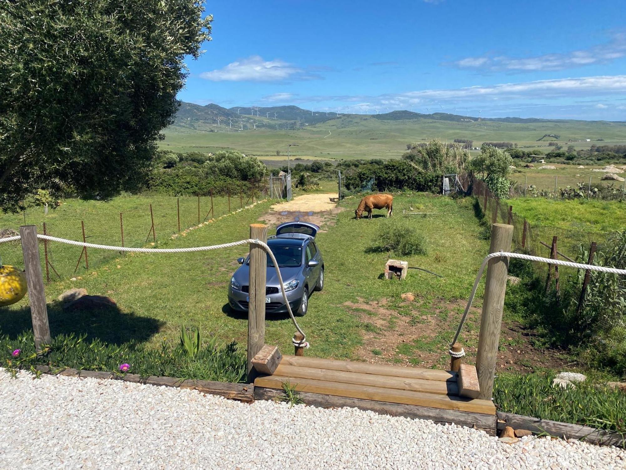 Rustic Cabin Tarifa 4 Guests 10 Minutes To Beach المظهر الخارجي الصورة